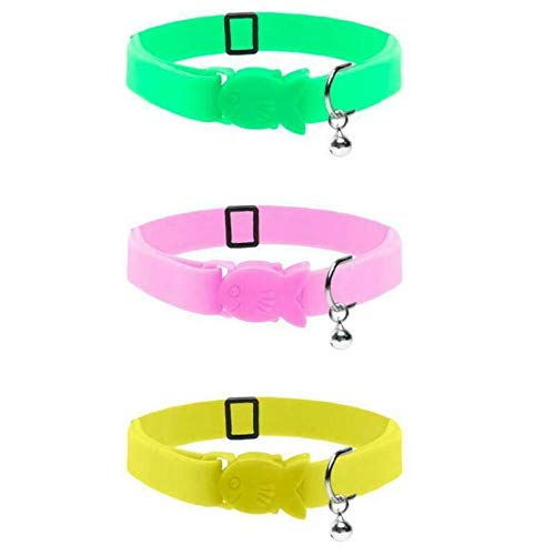CAT CIRCUS Halsband für Katzen und Kätzchen, mit Sicherheitsclip, Neonfarben von CAT CIRCUS