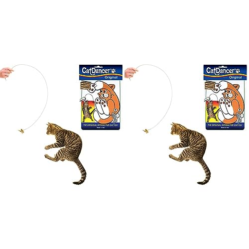 CAT DANCER Products CATD0101D Katzenspielzeug, Small Breeds (Packung mit 2) von CAT DANCER