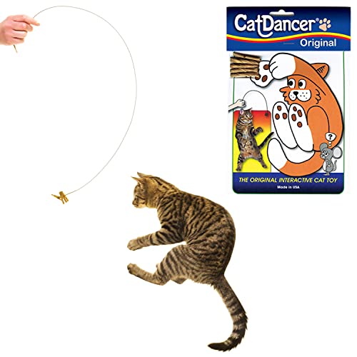 Cat Dancer Products CATD0101D Katzenspielzeug, Small Breeds von CAT DANCER