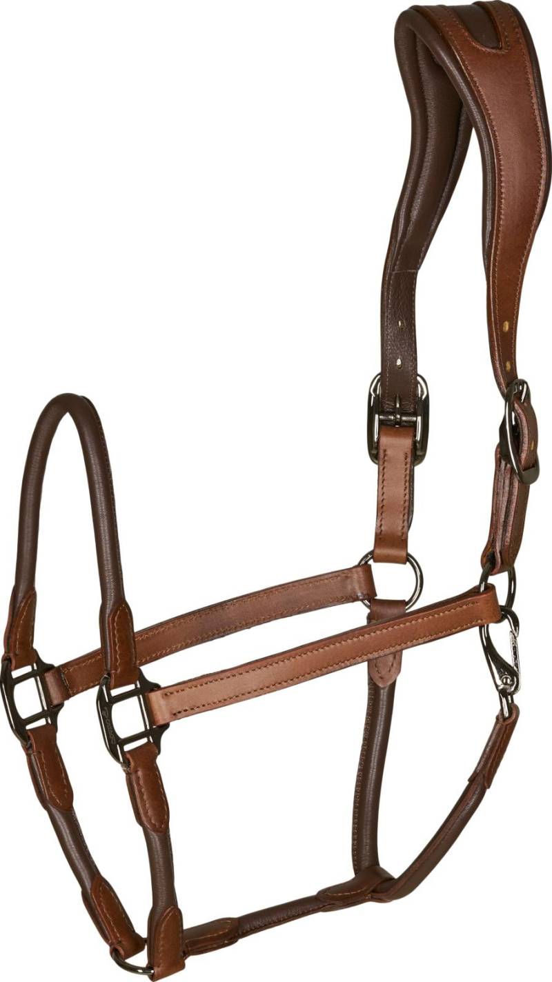 Catago Lederhalfter cognac, Pony Catago Lederhalfter cognac, Pony von CATAGO