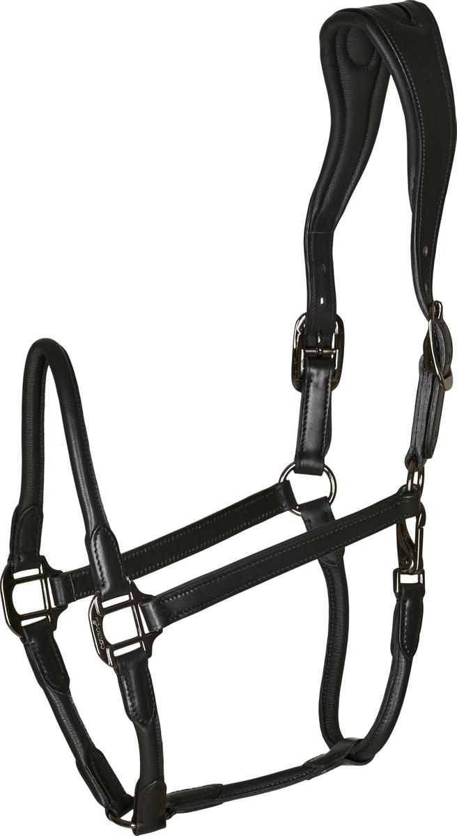 Catago Lederhalfter schwarz, Wb Catago Lederhalfter schwarz, Wb von CATAGO