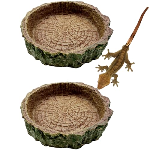 Futternäpfe für Reptilien, Terrarium-Schalen für Bartdrachen, Eidechse, Frosch, Gecko, Schildkröte, Einsiedlerkrebse, Schnecke, 2 Stück (Braun A) von CATDABIR