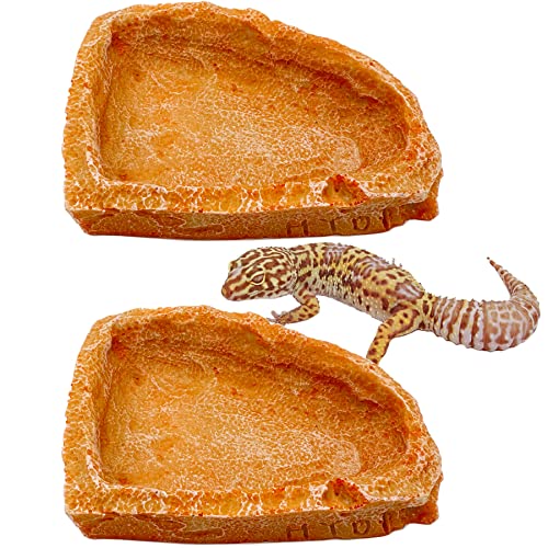 2 Stück Ecknapf für Reptilien, Wasserschale, Futternapf für Bartagamen, Bartagamen, Gecko, Frosch, Schildkröte 2 Stück Ecknapf für Reptilien, Wasserschale, Futternapf für Bartagamen, Bartagamen, Gecko, Frosch, Schildkröte von CATENEED
