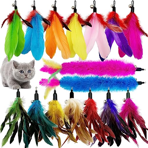 CATENEED Cat Feather Toys Replacement Cat Toy Wand Refills, 16 PCS Feathers Cat Toy Refill, Cat Wand Attachments Feathers for Cat Toys CATENEED Cat Feather Toys Replacement Cat Toy Wand Refills, 16 PCS Feathers Cat Toy Refill, Cat Wand Attachments Feathers for Cat Toys von CATENEED