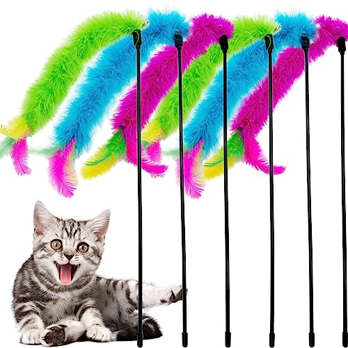 CATENEED Katzenstab-Spielzeug, Katzenfeder-Spielzeug, 6 Stück, interaktives Feder-Katzenspielzeug für Indoor-Katzen CATENEED Katzenstab-Spielzeug, Katzenfeder-Spielzeug, 6 Stück, interaktives Feder-Katzenspielzeug für Indoor-Katzen von CATENEED