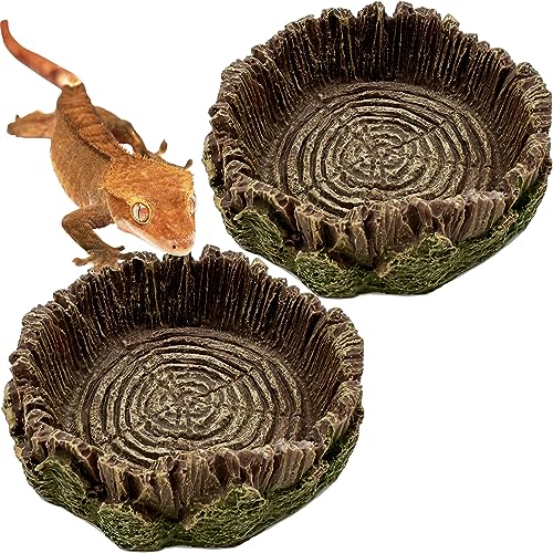 Kleine Futterschale für Reptilien, 2 Stück, für Bartagamen, Gecko, Eidechse, Frosch, Einsiedlerkrebse, Schnecke, Kröte Kleine Futterschale für Reptilien, 2 Stück, für Bartagamen, Gecko, Eidechse, Frosch, Einsiedlerkrebse, Schnecke, Kröte von CATENEED