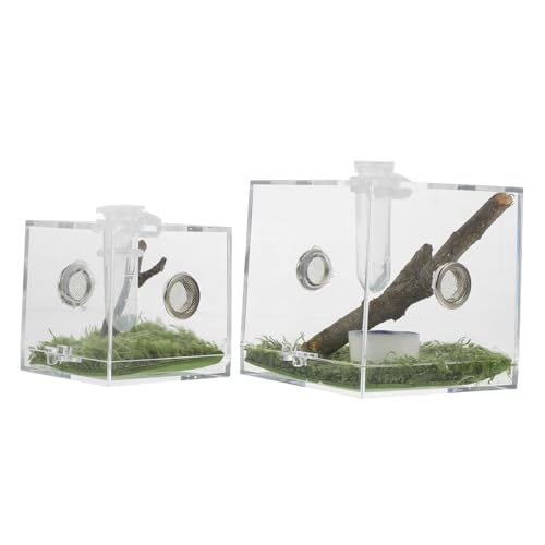 CATIEBYE 2 Stück Teiliges Transparentes Acryl Springspinnen Terrarium Zuchtbox mit Belüftung und Futteröffnung Leichtes Insektenhabitat für Spinnen Gottesanbeterin Schnecken und Kleine von CATIEBYE