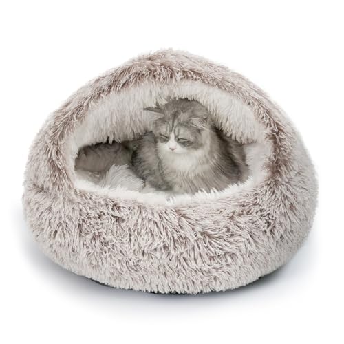 CATISM Katzenbett Waschbar Katzenschlafplatz für Katzen Plüsch Haustier Katzenkopfkissen Katzenkissen Flauschiges Kätzchen Welpen Kuschelbett Haustierbett Kaffee - XL(60cm von CATISM