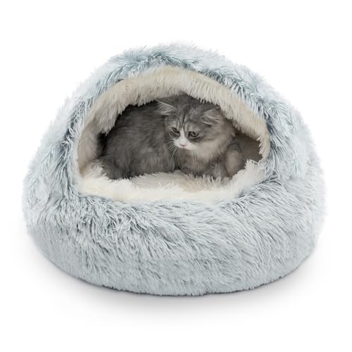 CATISM Katzenbett Waschbar Katzenschlafplatz für Katzen Plüsch Haustier Katzenkopfkissen Katzenkissen Flauschiges Kätzchen Welpen Kuschelbett Haustierbett Grau - XL(60cm) von CATISM