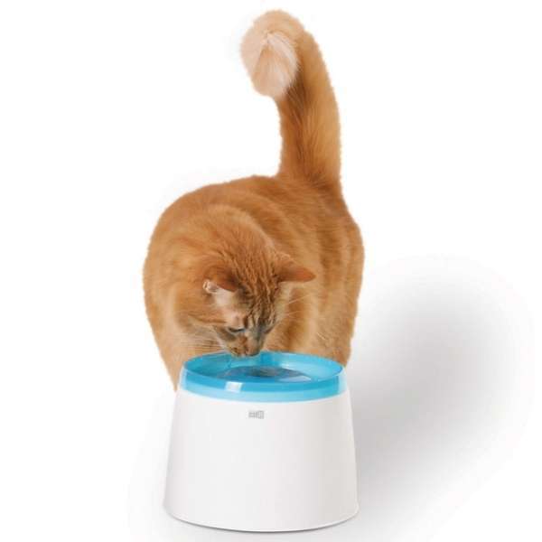 CATIT Fresh+Clear Trinkbrunnen 2L - Blau CATIT Fresh+Clear Trinkbrunnen 2L - Blau von CATIT