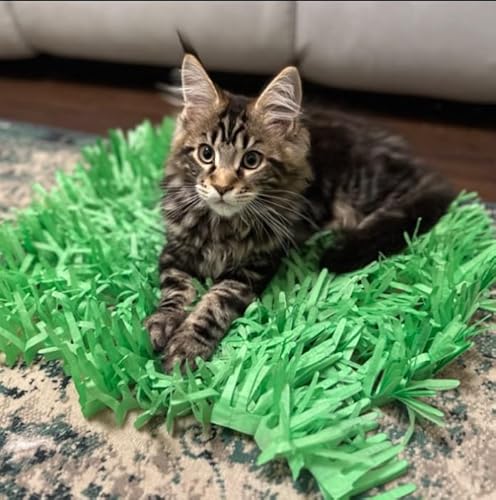 CATMAT Grasmatte aus grünem Seidenpapier für Katzen und Kätzchen CATMAT Grasmatte aus grünem Seidenpapier für Katzen und Kätzchen von CATMAT