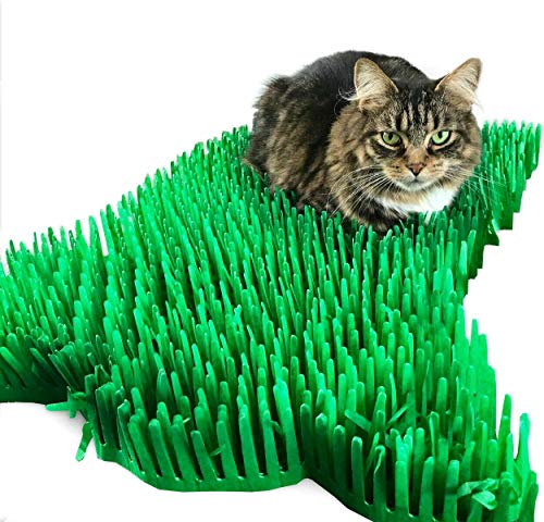 CATMAT Seidenpapier Grasmatte Spielzeug für Katzen und Kätzchen, knisternd, interaktiv, Jagd, Versteck, Spaß, Grün, 2 Stück von CATMAT