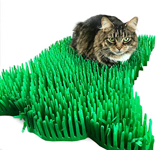 CATMAT. Katzenmatte aus Seidenpapier, Grünes Papier, Grasimitat, Spielmatte - Spaß für Indoor-Katzen und Kätzchen (2er-Pack) von CATMAT