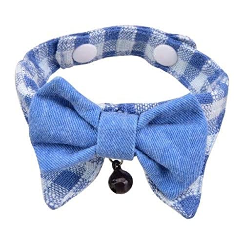 CATSPIA CASA-SC9419-BL-L Hobbes Katzenhalsband, L, blau CATSPIA CASA-SC9419-BL-L Hobbes Katzenhalsband, L, blau von CATSPIA
