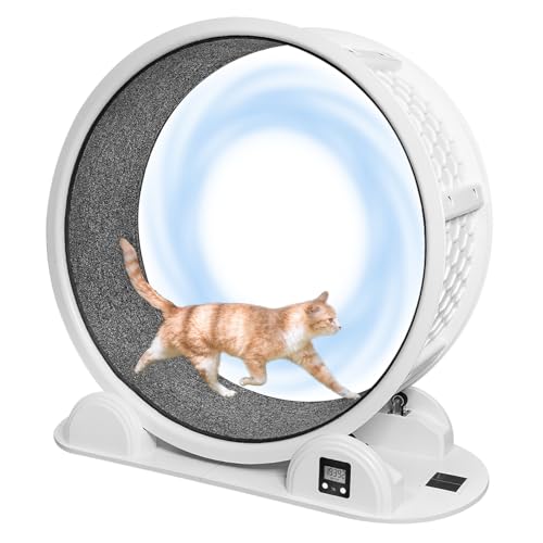 CAWUWE Großes Katzen-Trainingsrad mit Schrittzähler, 104 cm Katzenrad mit Teppichlaufbahn, geräuschlose Rolle für Kitty's Fitness Indoor CAWUWE Großes Katzen-Trainingsrad mit Schrittzähler, 104 cm Katzenrad mit Teppichlaufbahn, geräuschlose Rolle für Kitty's Fitness Indoor von CAWUWE