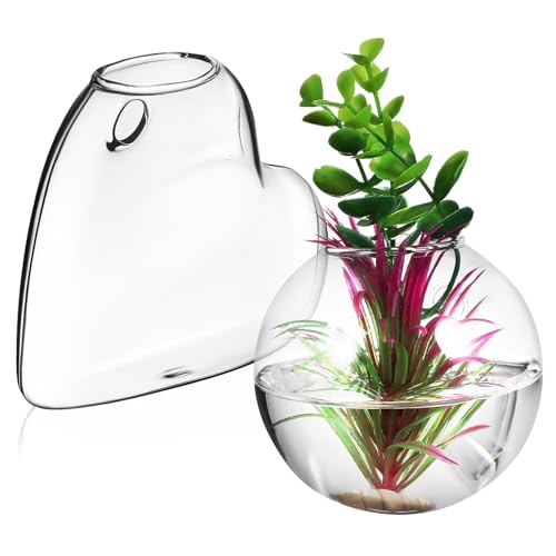 2Stücke Wandpflanzgefäße Borosilikatglas Transparentes Terrarium für Sukkulenten und Hydrokultur Wanddeko für Zubehör 2Stücke Wandpflanzgefäße Borosilikatglas Transparentes Terrarium für Sukkulenten und Hydrokultur Wanddeko für Zubehör von CAXUSD