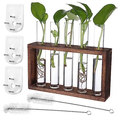 CAXUSD Glasfarben 1 Satz Behälter Für Blumenarrangements Klarer Behälter Ausbreitungsröhren Hängende Blumentöpfe Pflanzgefäß Für Zu Hause Rutschen Für Kinder Glas Mit Hohem Borosilikatgehalt CAXUSD Glasfarben 1 Satz Behälter Für Blumenarrangements Klarer Behälter Ausbreitungsröhren Hängende Blumentöpfe Pflanzgefäß Für Zu Hause Rutschen Für Kinder Glas Mit Hohem Borosilikatgehalt von CAXUSD
