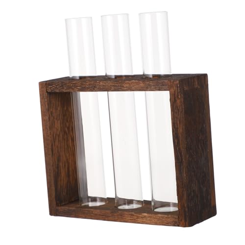 CAXUSD 3-teiliges Glasvasen-Set Mit Holzsockel Heimdekoration Miniatur-blumentopf Aus Glas Hydrokultur-reagenzglas Zur Einweihung CAXUSD 3-teiliges Glasvasen-Set Mit Holzsockel Heimdekoration Miniatur-blumentopf Aus Glas Hydrokultur-reagenzglas Zur Einweihung von CAXUSD