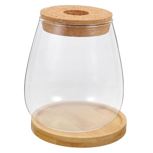 CAXUSD 1 Satz bürodeko büro Dekoration glasvase Set Terrarium nebler Gießkanne Zimmerpflanzen Pflanzenbewässerungszwiebeln Pflanzenbehälter aus Glas Behälter für Blumenarrangements Holz von CAXUSD