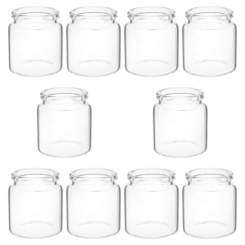 CAXUSD 10 Stück Mini Sukkulente Glasflasche Ausbreitungsröhren Reagenzglas Blumenhalter Blumenflaschendekor Reagenzglasvasen Pflanzenstarter-glasröhrchen Mikrolandschaftsvase Transparent von CAXUSD