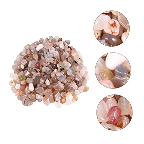 CAXUSD Flusssteine Kieselsteine 500g Natursteine Für Pflanzen Sukkulenten Aquarien Topfdekor Gartensteine Kies Poliert Steine Kiesel CAXUSD Flusssteine Kieselsteine 500g Natursteine Für Pflanzen Sukkulenten Aquarien Topfdekor Gartensteine Kies Poliert Steine Kiesel von CAXUSD