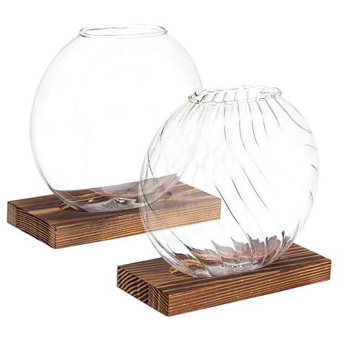 CAXUSD Stabiles Glasvasen-Set Pflanzen-Terrarium Glas für Hydrokulturpflanzen 2 Stück CAXUSD Stabiles Glasvasen-Set Pflanzen-Terrarium Glas für Hydrokulturpflanzen 2 Stück von CAXUSD