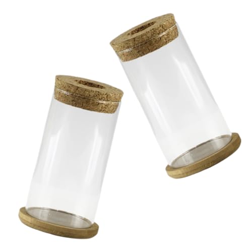 CAXUSD 2 Sätze hydroponische Vase Eukalyptus Kerzenhalter Lampe Outdoor - Töpfe für Pflanzen Grünpflanzenbehälter bürodeko bu ̈ ro Dekoration vases transparenter Blumenhalter Glasvase hölzern von CAXUSD