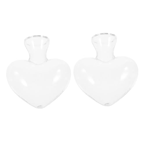 CAXUSD 2 Stück Glasvase blumenarrangement Blumenvase glastopf glasflasche Zylindervase Schwarze Vase für einmachgläser blumentopf Hydrokulturvase aus Glas Bauernhaus Herzstück Transparent von CAXUSD