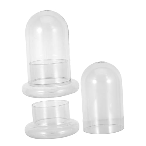 CAXUSD 2 Stück Ökologische Micro Moos Flasche aus Hochborosilikatglas mit Öffnung DIY Terrarium für Pflanzen Home Office Dekoration und Geschenkidee von CAXUSD