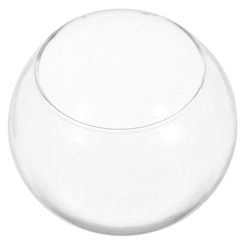 CAXUSD Aquarium Schüssel Sukkulenten Pflanze Container für Home Decor 2 stücke Runde Eco Terrarium von CAXUSD