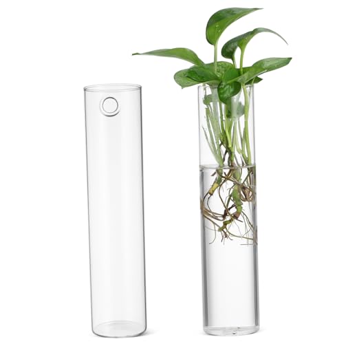CAXUSD 2 Stück Wandvase Wand Blumentopf Propagieren Hängepflanze Runde Vase Wand Für Zimmerpflanzen Zylinder Mehrere Blumenröhren Gläser Vasen Wand Pflanzgefäße Für von CAXUSD