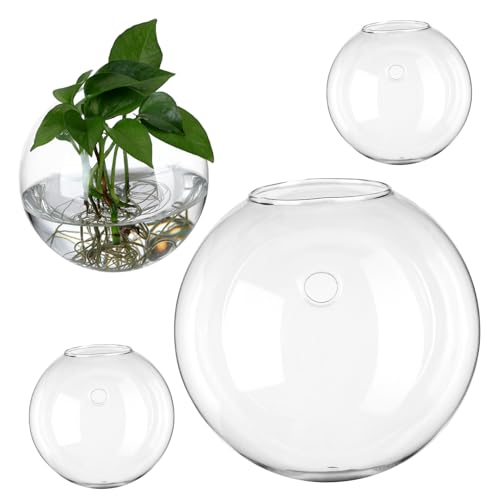 CAXUSD 4 Stück Glasvase bürodeko büro Dekoration Wohnaccessoire pflanzgefässe Office Decoration Solar- saftig Deckslichter hängendes Terrarium LED Pflanzgefäße aus Glas Wanddekorationen von CAXUSD