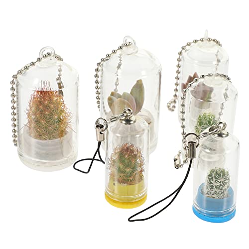 CAXUSD 6St Schlüsselanhänger künstlich Zwiebelvase Pflanzenschmuck klarer Behälter Gefälschte Pflanzen groß Gracy microanlagen saatstreuer Hängendes Terrarium aus Glas Mini-Pflanzenhalter CAXUSD 6St Schlüsselanhänger künstlich Zwiebelvase Pflanzenschmuck klarer Behälter Gefälschte Pflanzen groß Gracy microanlagen saatstreuer Hängendes Terrarium aus Glas Mini-Pflanzenhalter von CAXUSD