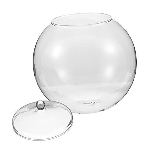 CAXUSD Micro Landschaft DIY Moos Ökologie Glasflasche Terrarium Transparente Pflanzenhalterung Für Mikrolandschaft Inklusive Deckel Durchmesser Ideal Für Bürodekoration Und Kreative Gestaltung CAXUSD Micro Landschaft DIY Moos Ökologie Glasflasche Terrarium Transparente Pflanzenhalterung Für Mikrolandschaft Inklusive Deckel Durchmesser Ideal Für Bürodekoration Und Kreative Gestaltung von CAXUSD