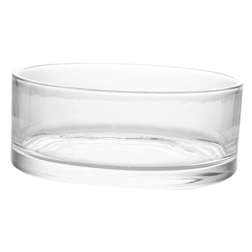 CAXUSD Glasblumentopf Für Sukkulenten Transparente Glasvase Im Modernen Skandinavischen Design Für Hydrokultur Und Dekorative Pflanzen von CAXUSD