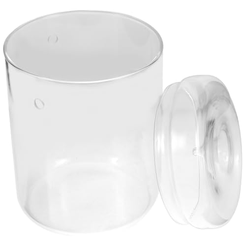 CAXUSD Glasflasche für Mooslandschaft Micro Landscape Container Transparentes Terrarium Kreative Tischdekoration für Büro Wohnzimmer Schlafzimmer Multifunktionaler Pflanzenhalter CAXUSD Glasflasche für Mooslandschaft Micro Landscape Container Transparentes Terrarium Kreative Tischdekoration für Büro Wohnzimmer Schlafzimmer Multifunktionaler Pflanzenhalter von CAXUSD