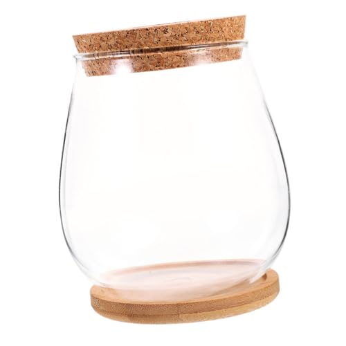 CAXUSD Hydroponische Vase Einzigartige Blumenvase Kleine Klare Vase Pflanzen Flasche Klare Blumenvase Vermehrungsbehälter Hydroponischer Schüsseltopf Fischglasvase Bambus Transparent von CAXUSD