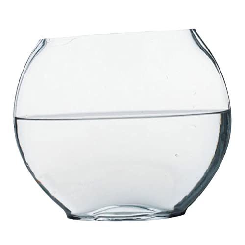 CAXUSD Glasterrarium Für Pflanzen Mikro-landschaftsflasche Ökologisches Terrarium DIY-glasbehälter Dekorative Flaschenlandschaft von CAXUSD