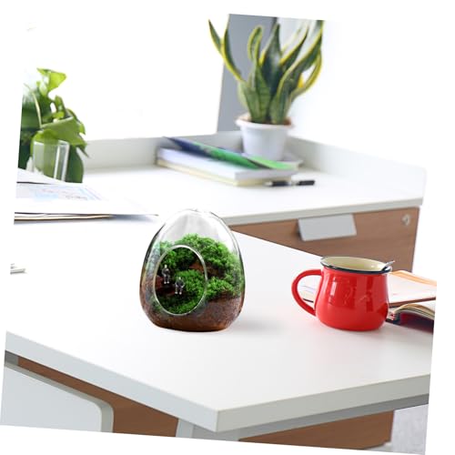 CAXUSD Micro Landscape Glasflasche DIY Terrarium für Moos Pflanzen Transparente Ökologische Flasche als Tischdekoration und Pflanzenvermehrungsstation Nachhaltiger Pflanzbehälter CAXUSD Micro Landscape Glasflasche DIY Terrarium für Moos Pflanzen Transparente Ökologische Flasche als Tischdekoration und Pflanzenvermehrungsstation Nachhaltiger Pflanzbehälter von CAXUSD