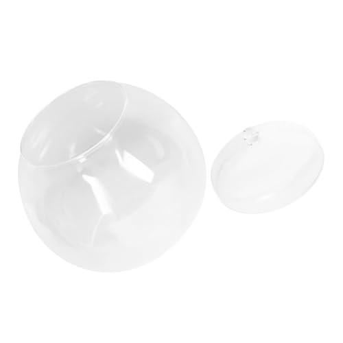 CAXUSD Transparentes Fischglas Glas Schreibtisch-Aquarium Kleines Durchsichtiges Aquariumbecken Tisch-kampffischbecken Dekorativer Blumentopf von CAXUSD