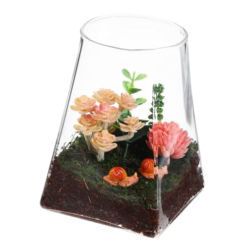 CAXUSD Ökologische Mikrolandschaftsflasche Pflanzenterrarium Leeres Terrarium Pflanzen Terrarium Vasentopf Pflanzenbehälter Mikro-landschaftsflasche Glas CAXUSD Ökologische Mikrolandschaftsflasche Pflanzenterrarium Leeres Terrarium Pflanzen Terrarium Vasentopf Pflanzenbehälter Mikro-landschaftsflasche Glas von CAXUSD