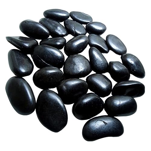 CAXUSD Schwarze Natürliche Kieselsteine Für Aquarien 2 Große Dekorative Landschaftssteine Ideal Für Blumentöpfe Terrarien Und Garten Dekoration Packung CAXUSD Schwarze Natürliche Kieselsteine Für Aquarien 2 Große Dekorative Landschaftssteine Ideal Für Blumentöpfe Terrarien Und Garten Dekoration Packung von CAXUSD