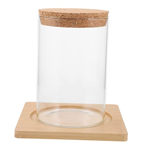 CAXUSD Terrarium Pflanzgefäß mit Korkverschluss Transparentes Hydroponik Gefäß für Pflanzen und Moos Dekoratives Landschaft für und Büro CAXUSD Terrarium Pflanzgefäß mit Korkverschluss Transparentes Hydroponik Gefäß für Pflanzen und Moos Dekoratives Landschaft für und Büro von CAXUSD