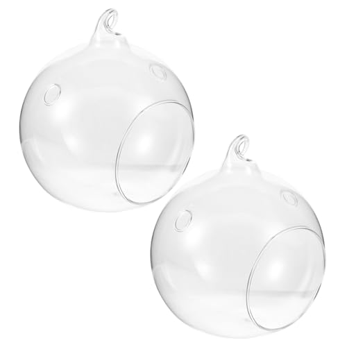 CAXUSD Elegante 12 cm Große Glaskugel-hängevase Luftpflanzen-aufhänger Luftpflanzen-Terrarium 2 Öffnungen Für Modernes Zuhause von CAXUSD