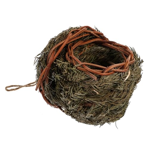 CAXUSD Outdoor Vogel Nistkasten Handgefertigte Vogel Sitzstange Für Kolibris Vögel Farbe von CAXUSD