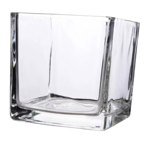 CAXUSD büro Dekoration Office Decoration Tischdekoration blumengesteck blumentopf quadratische Vase Tierische Topflappen modern Würfel-Hydrokultur-Pflanzgefäß Hausvase Glas Transparent CAXUSD büro Dekoration Office Decoration Tischdekoration blumengesteck blumentopf quadratische Vase Tierische Topflappen modern Würfel-Hydrokultur-Pflanzgefäß Hausvase Glas Transparent von CAXUSD