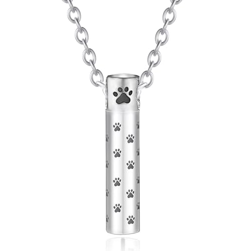 Tragbare Asche-Andenken-Anhänger, Schmuck, Beerdigung, Andenken, Halskette zum Gedenken an Haustiere, Zylinder-Medaillons von CAZSTYK