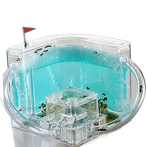 CBFGGOEUDFBS Transparentes Ameisenfarm-Set zur DIY-Beobachtung Einer Ameisenkolonie, Ameisenhaus for Wissenschaftsbegeisterte(Blue) von CBFGGOEUDFBS