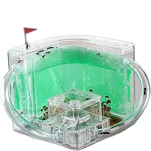 CBFGGOEUDFBS Transparentes Ameisenfarm-Set zur DIY-Beobachtung Einer Ameisenkolonie, Ameisenhaus for Wissenschaftsbegeisterte(Green) von CBFGGOEUDFBS