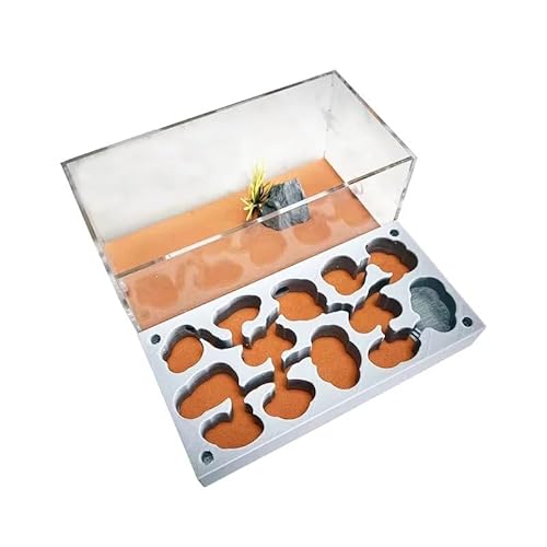 CBFGGOEUDFBS Transparentes Ameisenfarm-Set zur DIY-Beobachtung Einer Ameisenkolonie, Ameisenhaus for Wissenschaftsbegeisterte(Number 8) von CBFGGOEUDFBS